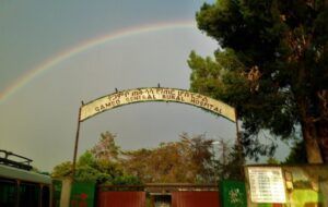 Hospital Gambo Alegría NyH0