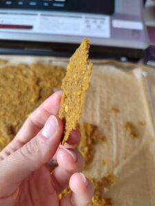 Snack NyH0